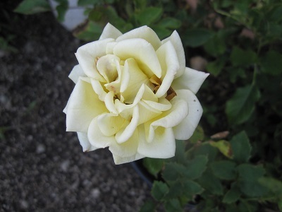 IMG_884401.jpg